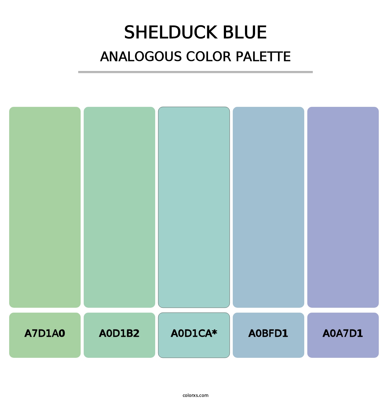 Shelduck Blue - Analogous Color Palette