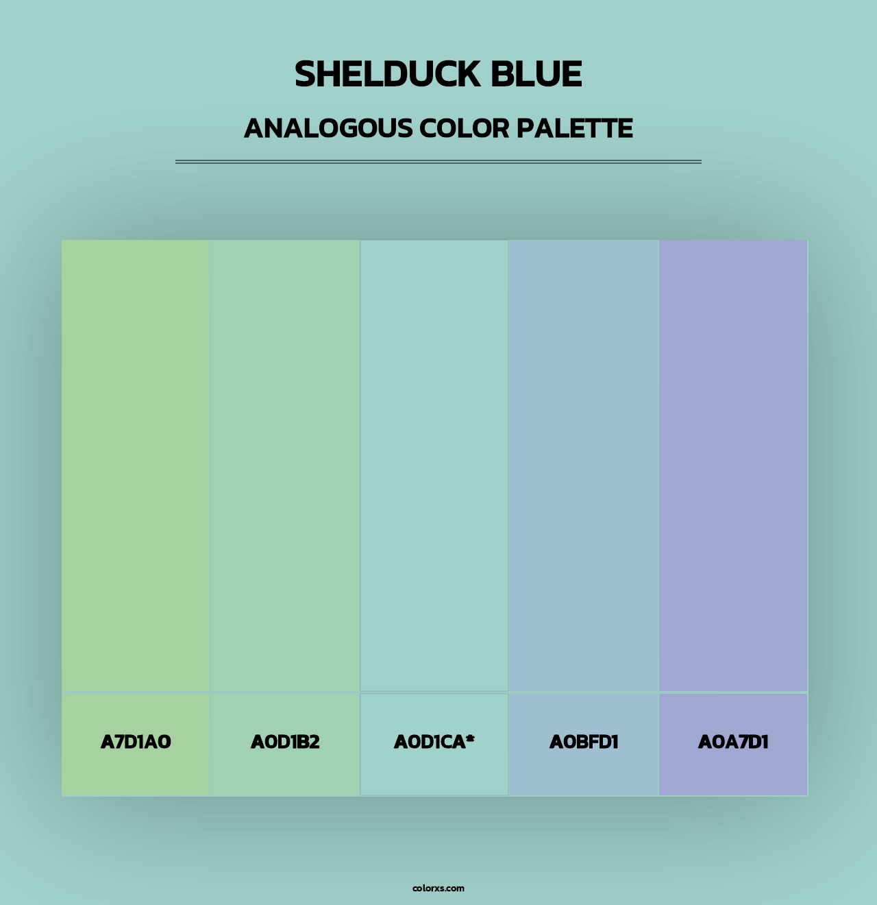 Shelduck Blue - Analogous Color Palette
