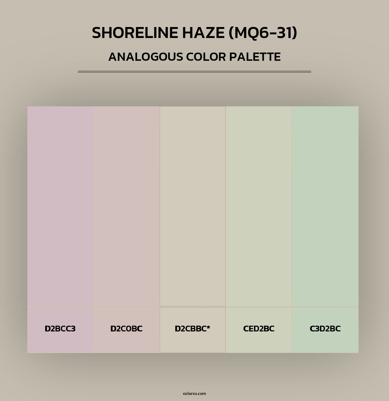 Shoreline Haze (MQ6-31) - Analogous Color Palette