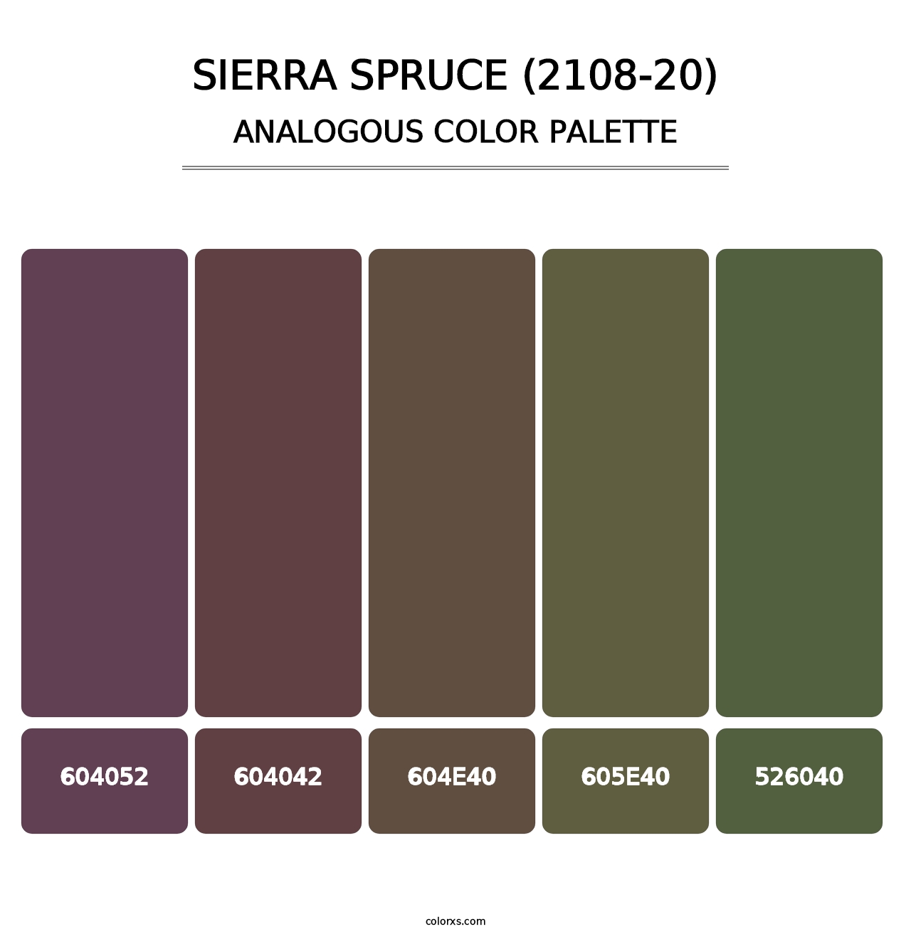 Sierra Spruce (2108-20) - Analogous Color Palette