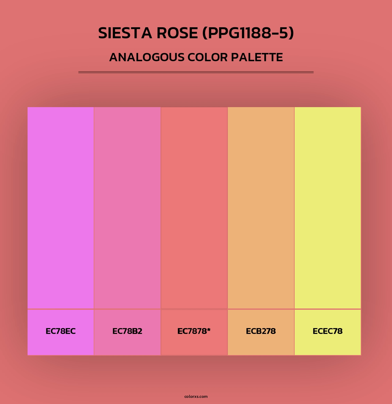 Siesta Rose (PPG1188-5) - Analogous Color Palette