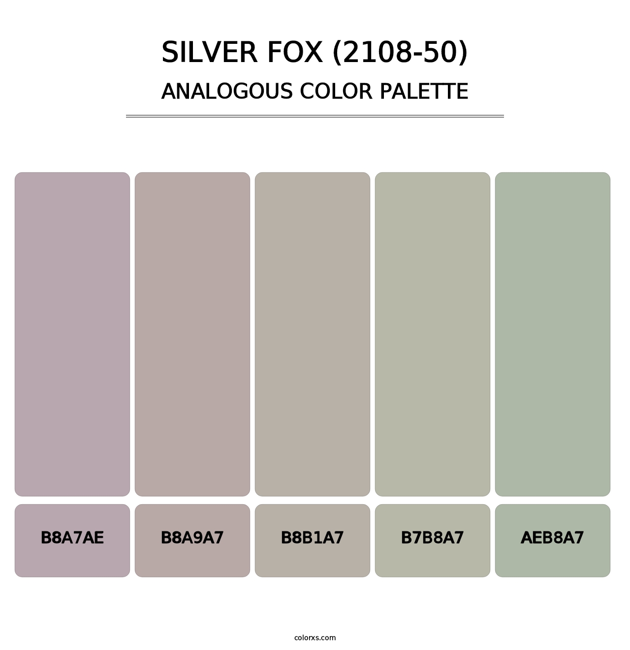 Silver Fox (2108-50) - Analogous Color Palette