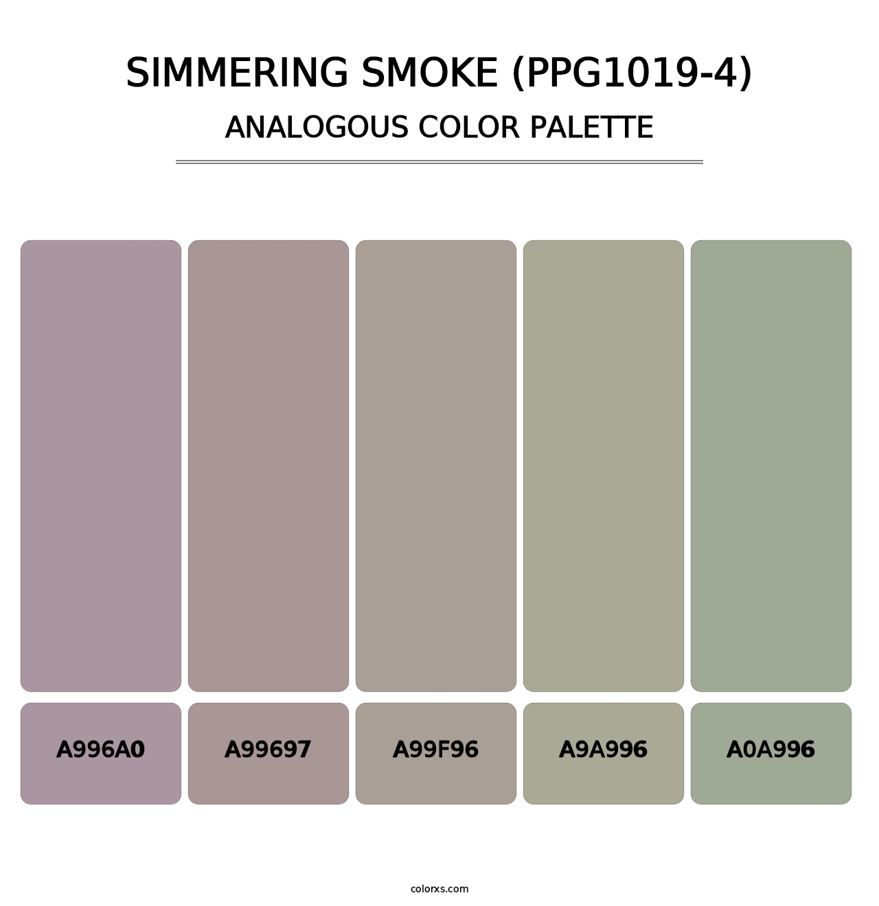 Simmering Smoke (PPG1019-4) - Analogous Color Palette