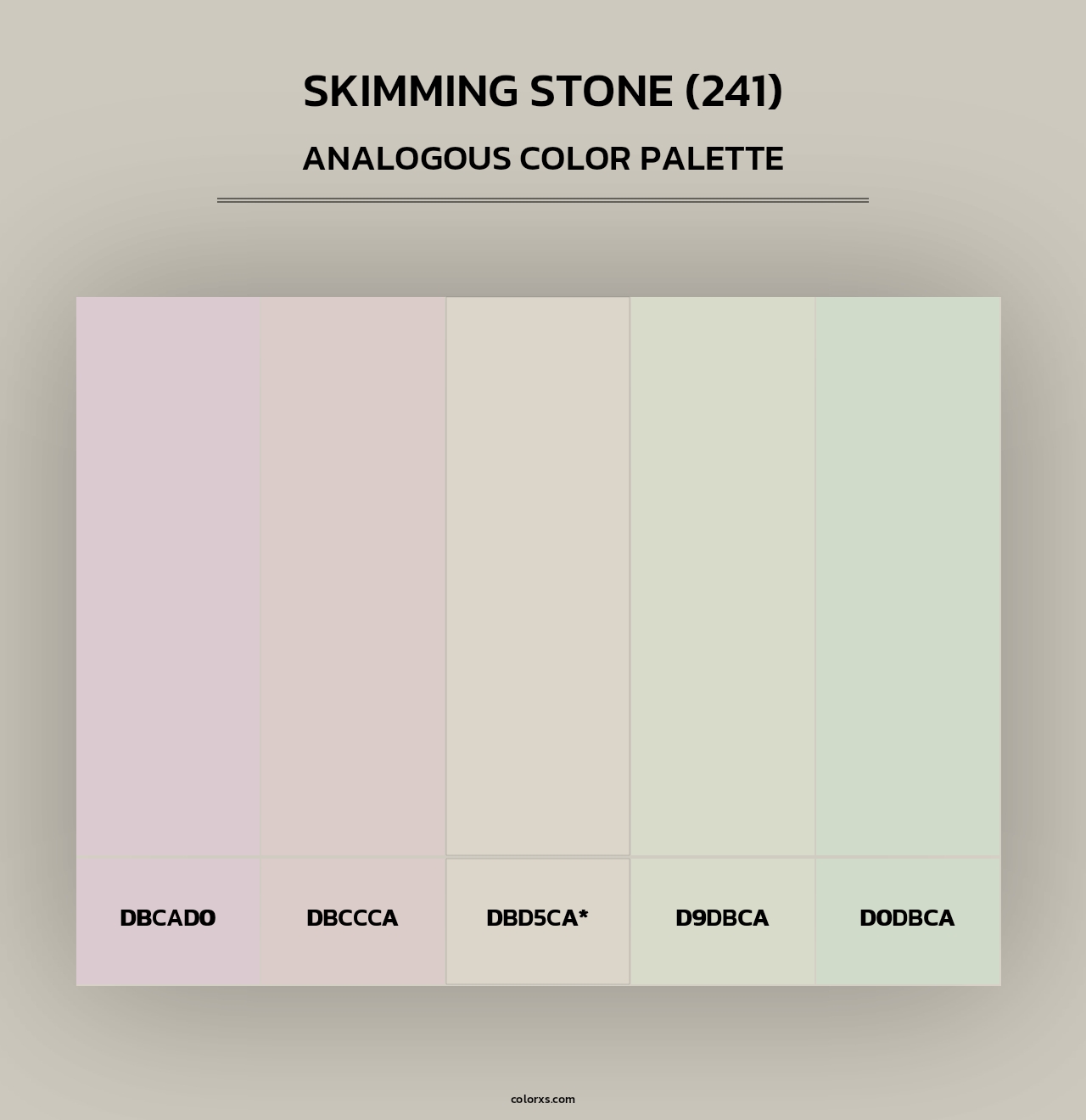 Skimming Stone (241) - Analogous Color Palette