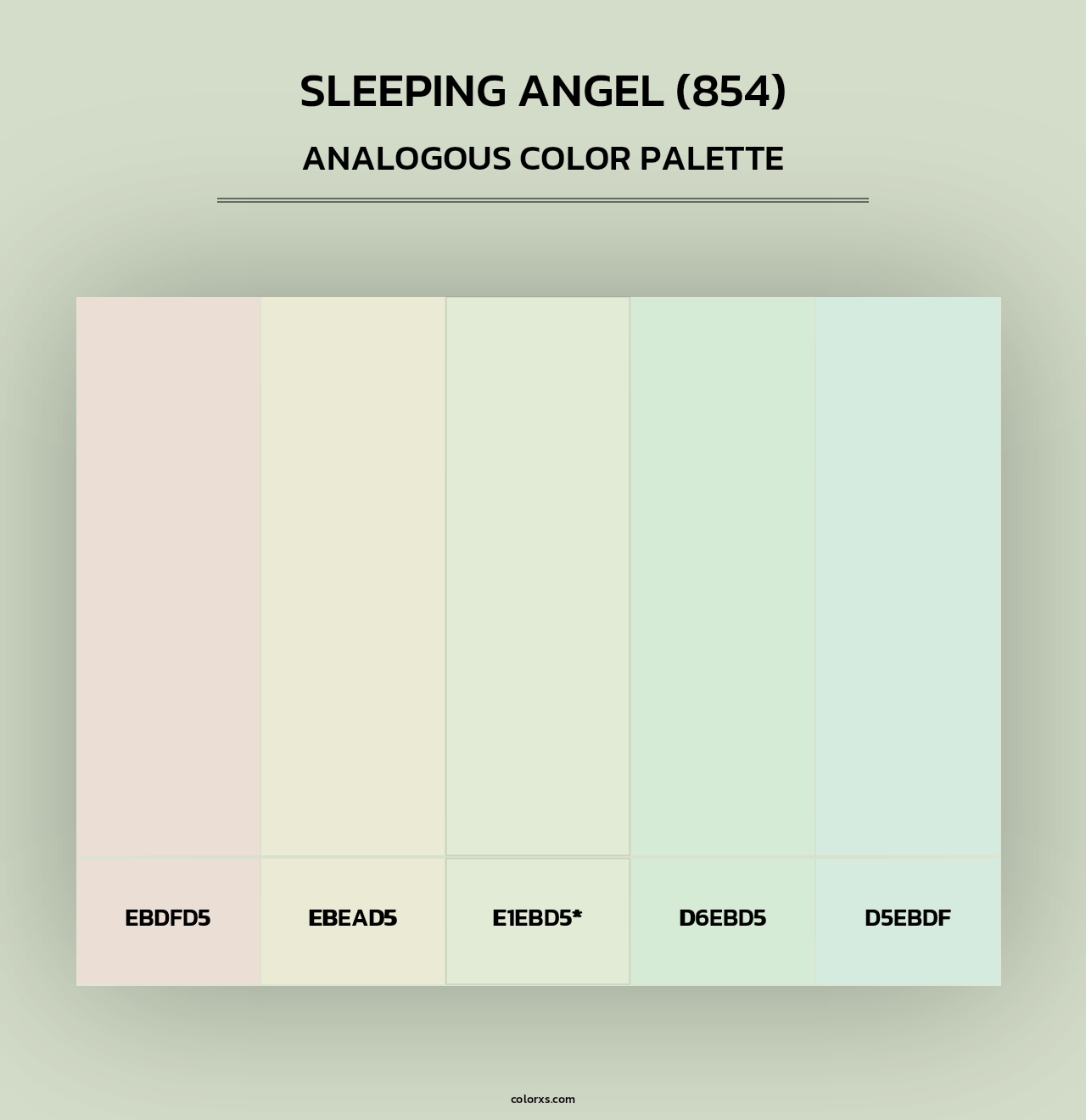 Sleeping Angel (854) - Analogous Color Palette