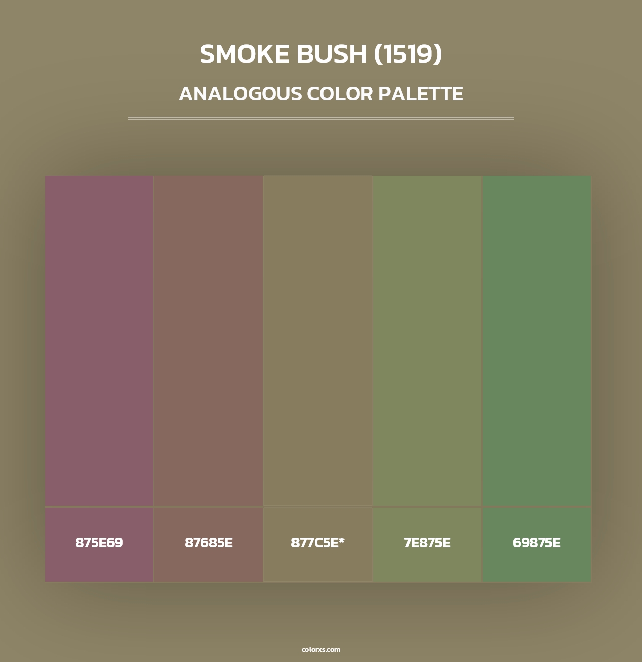 Smoke Bush (1519) - Analogous Color Palette
