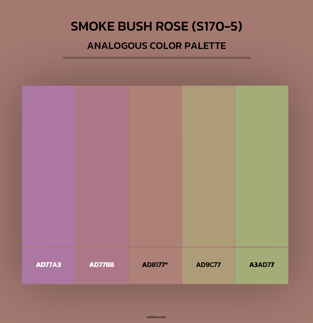 Smoke Bush Rose (S170-5) - Analogous Color Palette