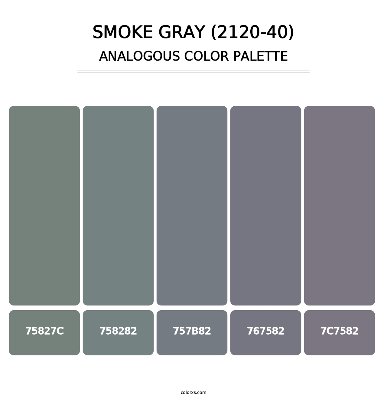 Smoke Gray (2120-40) - Analogous Color Palette