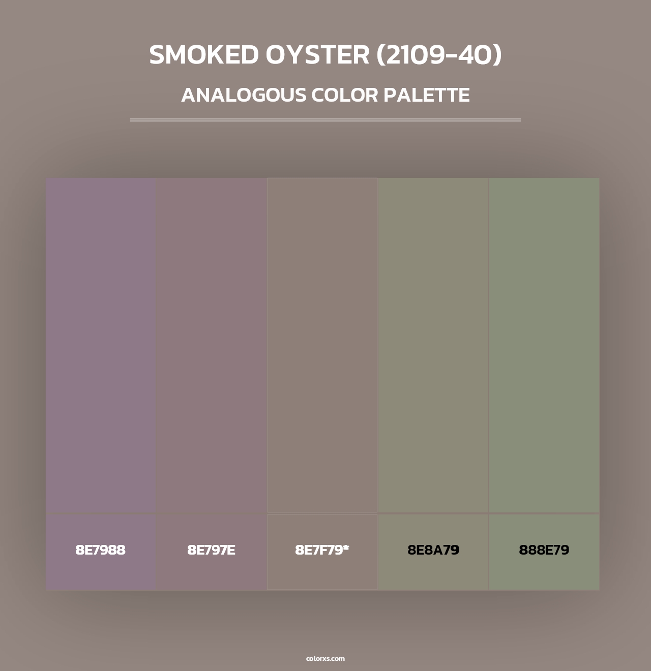 Smoked Oyster (2109-40) - Analogous Color Palette