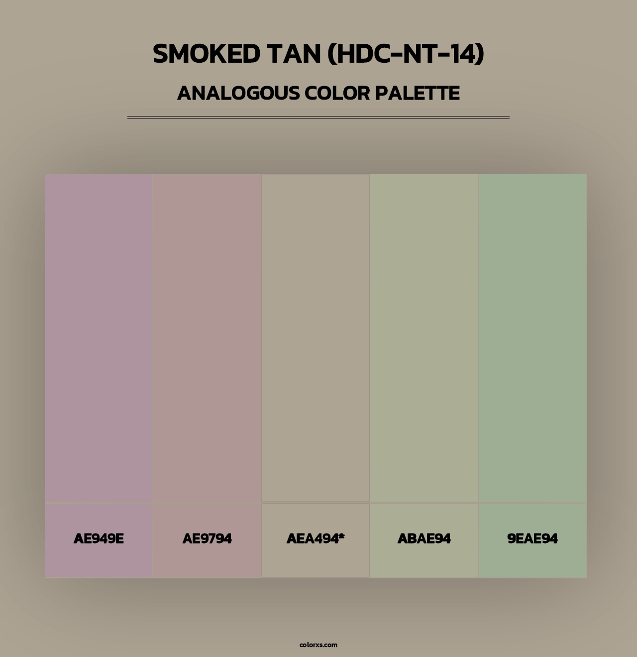 Smoked Tan (HDC-NT-14) - Analogous Color Palette