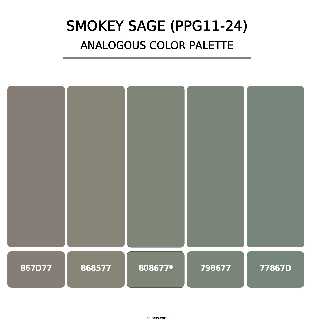 Smokey Sage (PPG11-24) - Analogous Color Palette