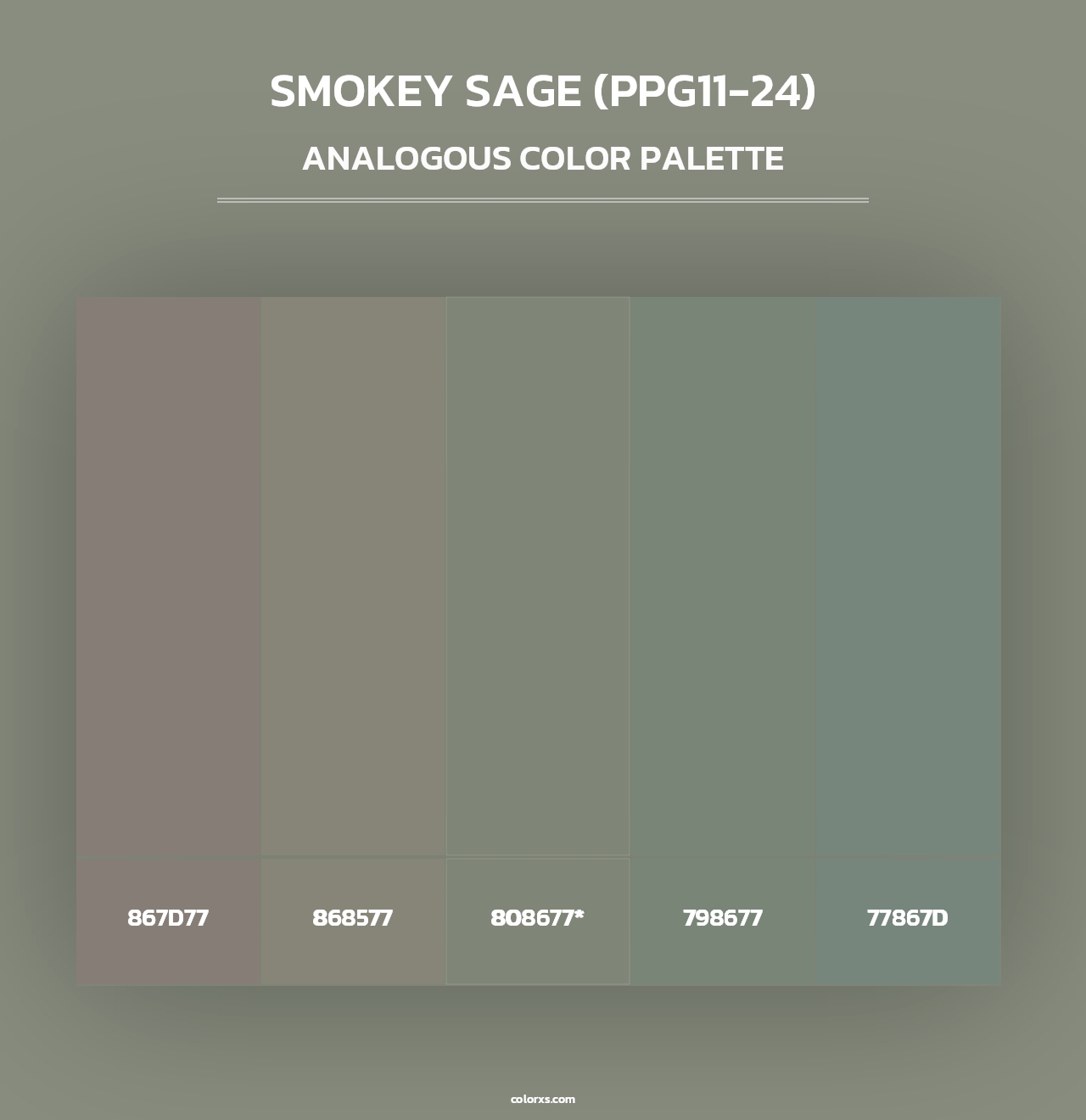 Smokey Sage (PPG11-24) - Analogous Color Palette