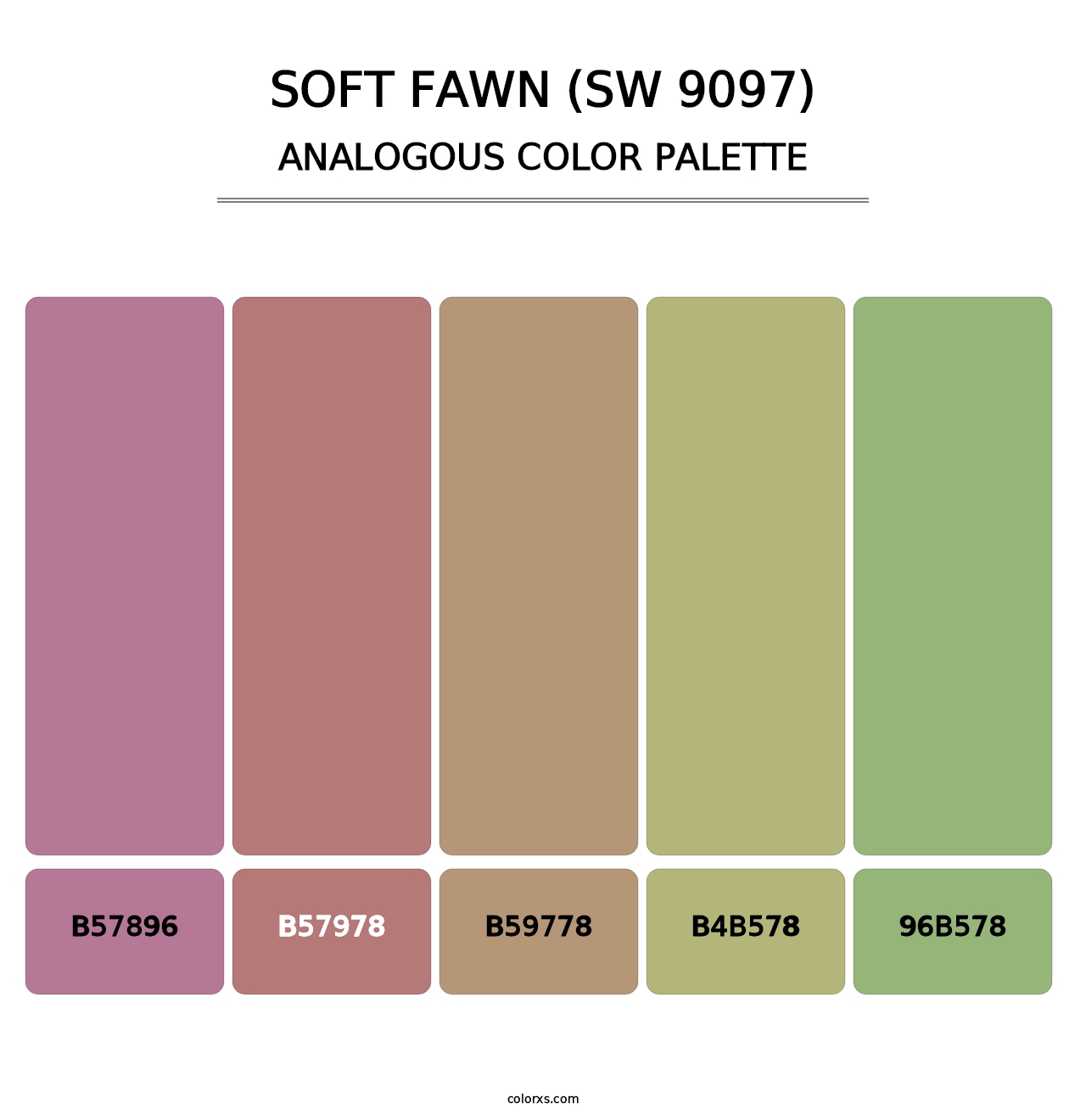 Soft Fawn (SW 9097) - Analogous Color Palette