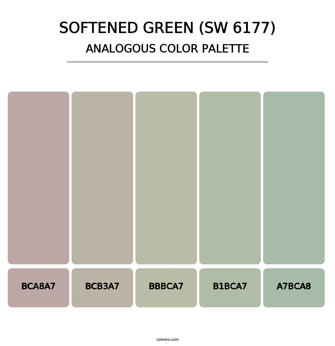 Softened Green (SW 6177) - Analogous Color Palette