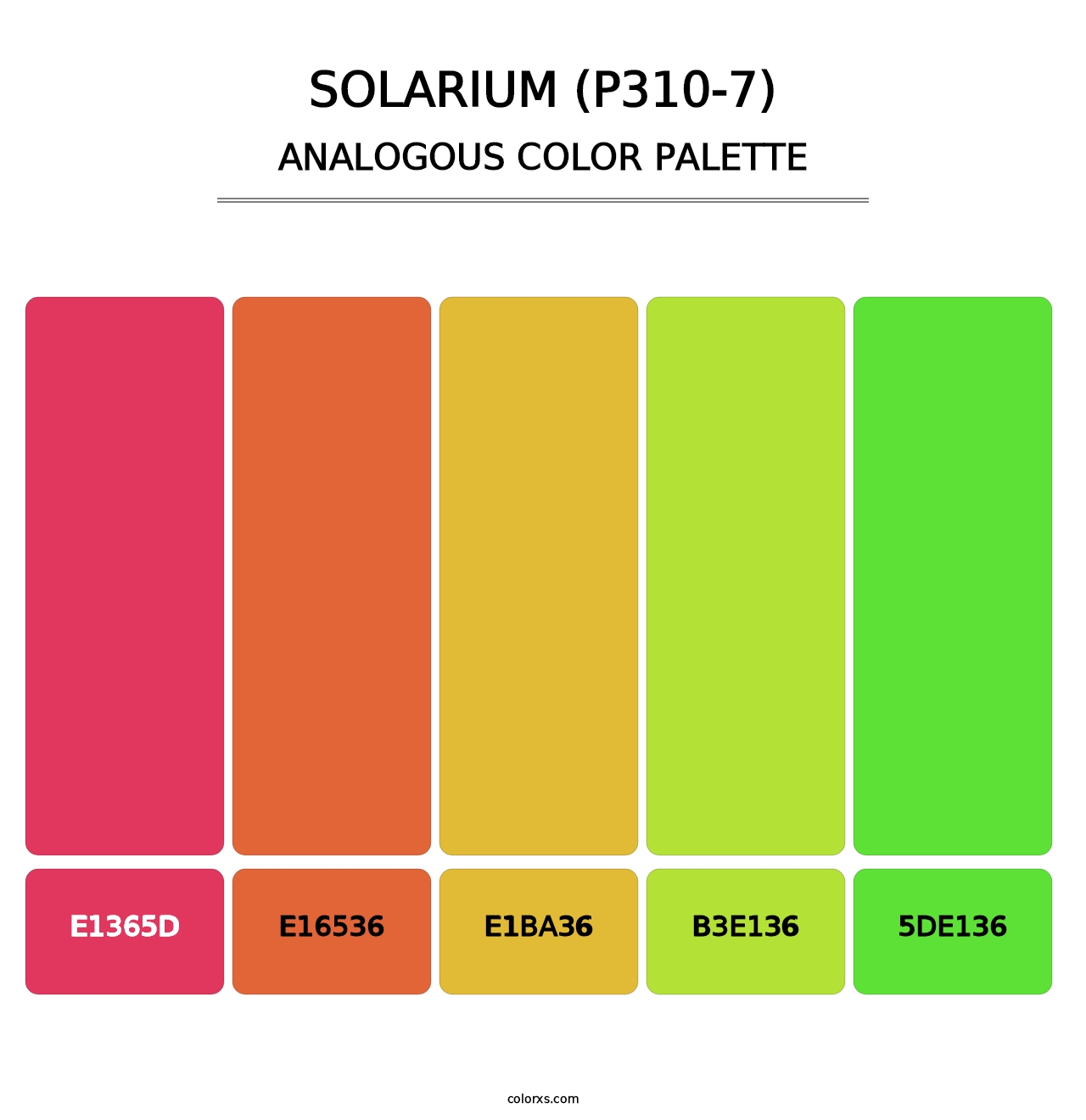 Solarium (P310-7) - Analogous Color Palette
