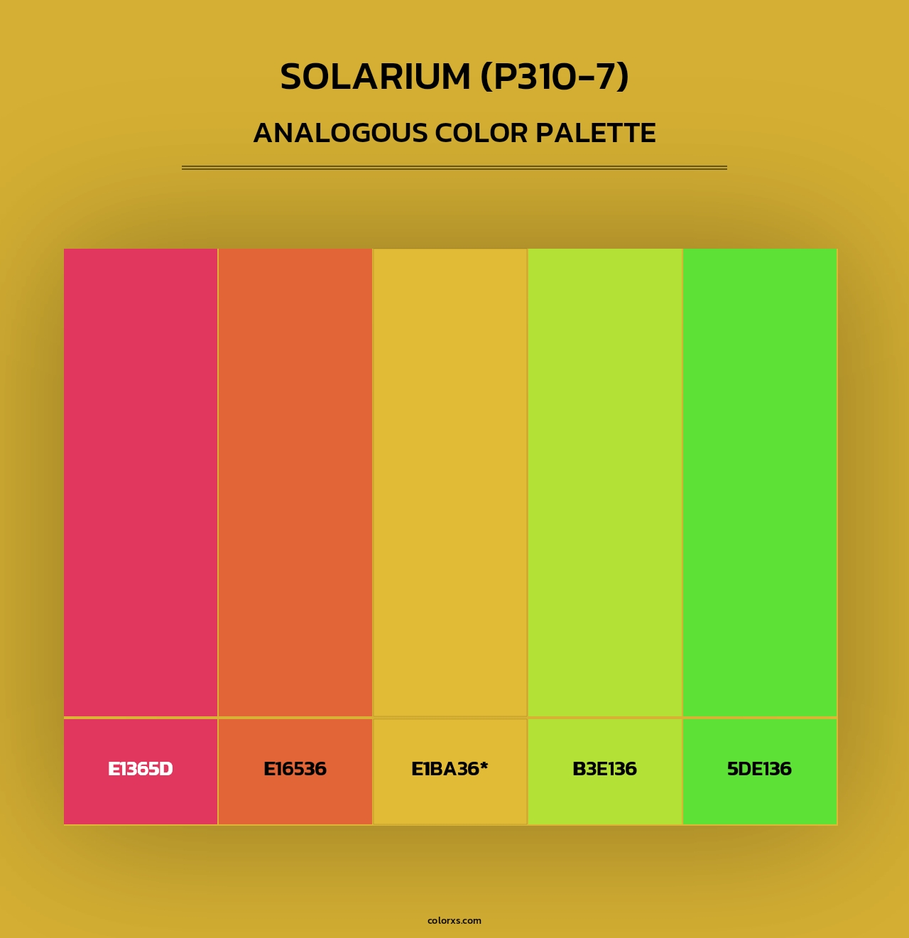 Solarium (P310-7) - Analogous Color Palette