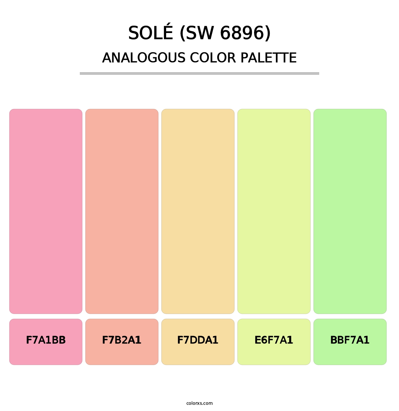 Solé (SW 6896) - Analogous Color Palette