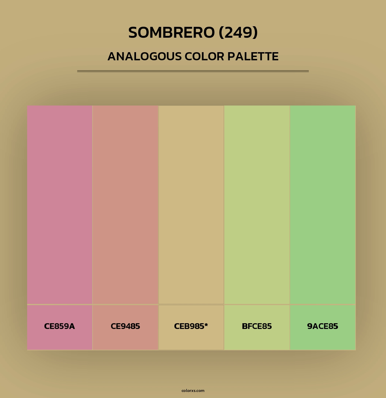 Sombrero (249) - Analogous Color Palette