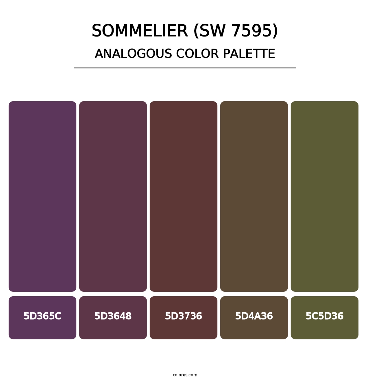 Sommelier (SW 7595) - Analogous Color Palette