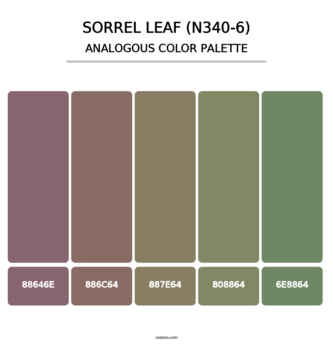 Sorrel Leaf (N340-6) - Analogous Color Palette