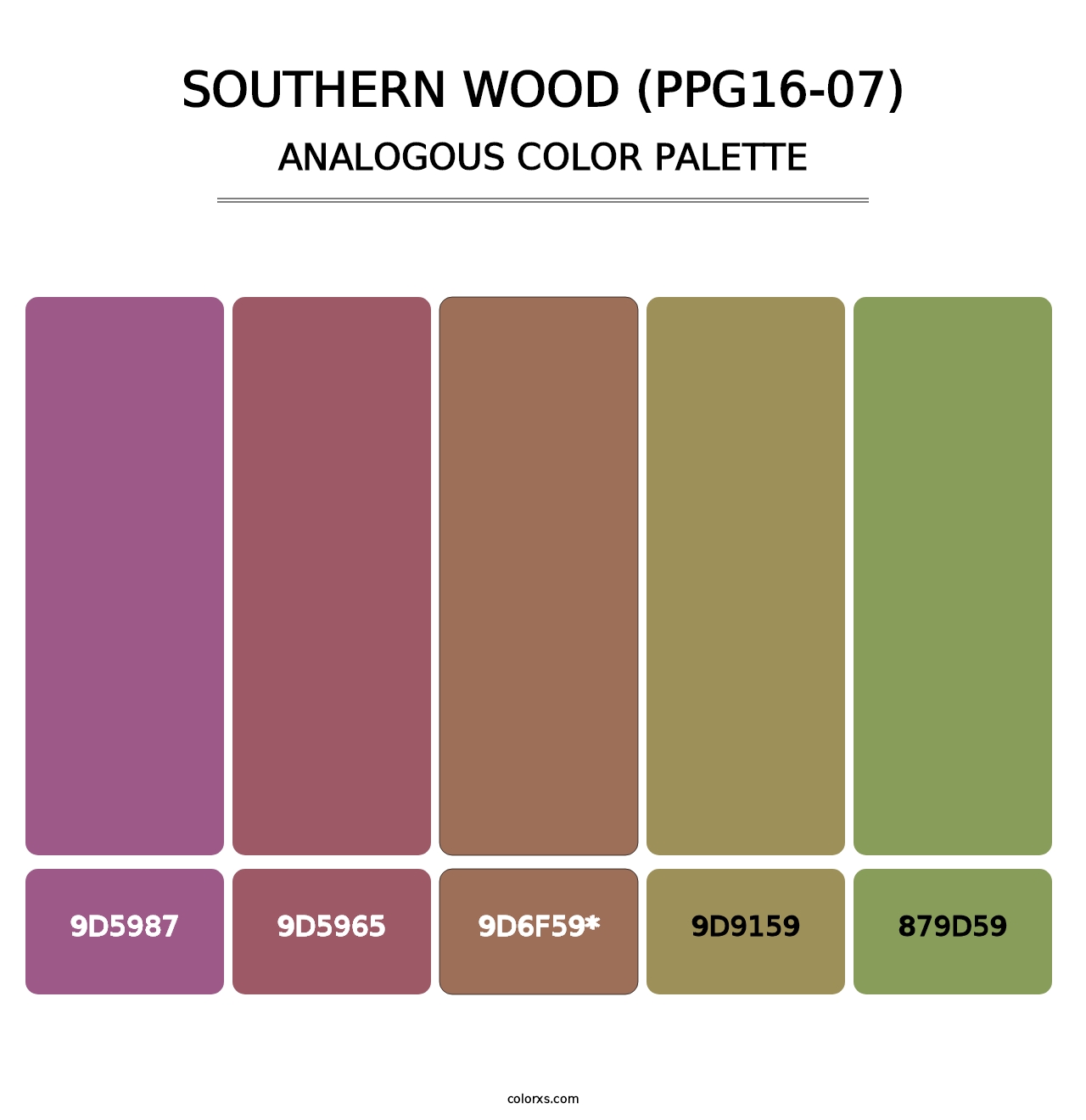 Southern Wood (PPG16-07) - Analogous Color Palette
