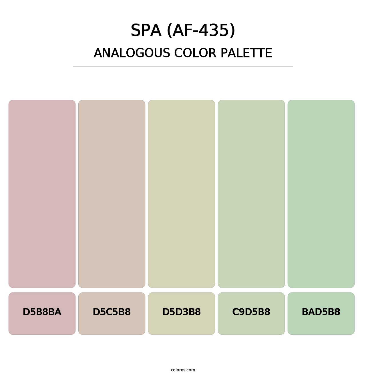 Spa (AF-435) - Analogous Color Palette