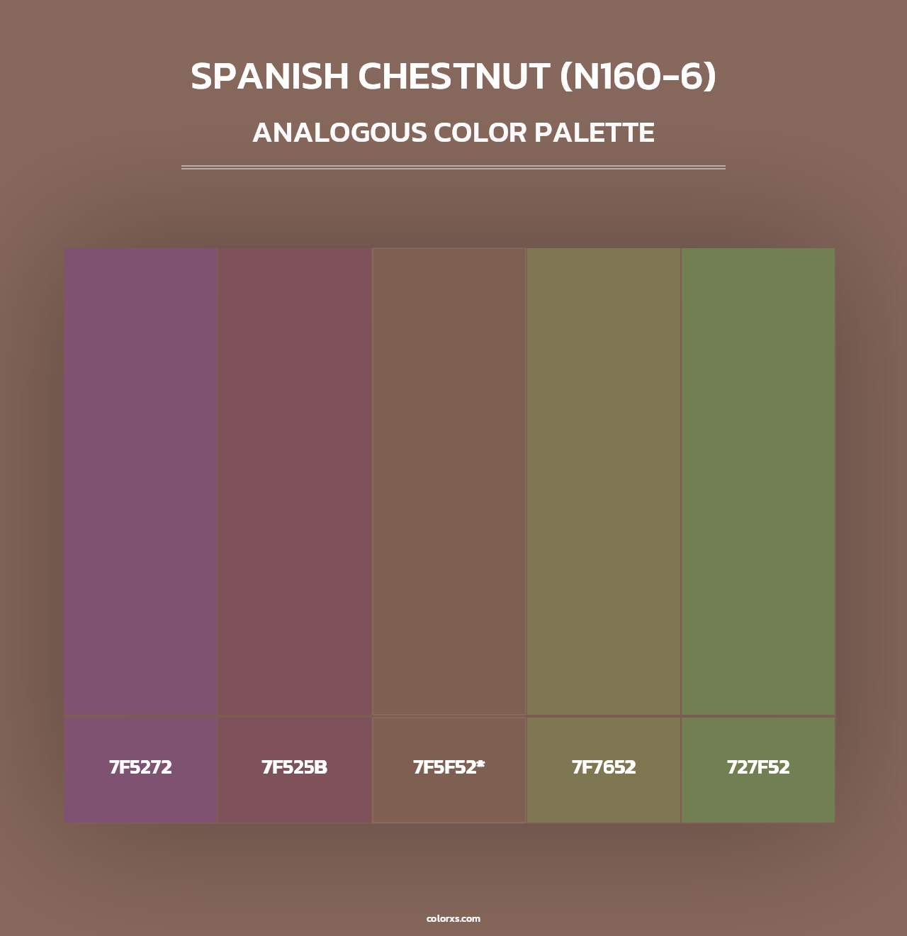 Spanish Chestnut (N160-6) - Analogous Color Palette