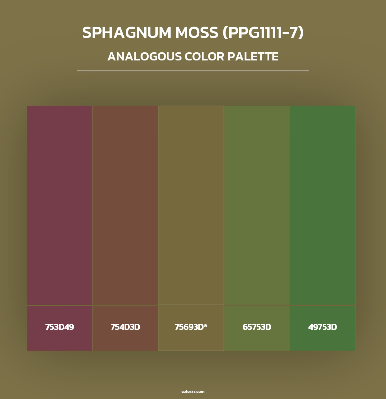 Sphagnum Moss (PPG1111-7) - Analogous Color Palette