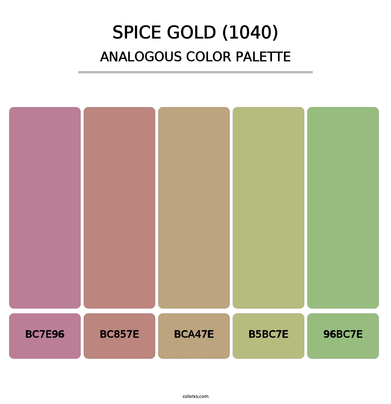 Spice Gold (1040) - Analogous Color Palette
