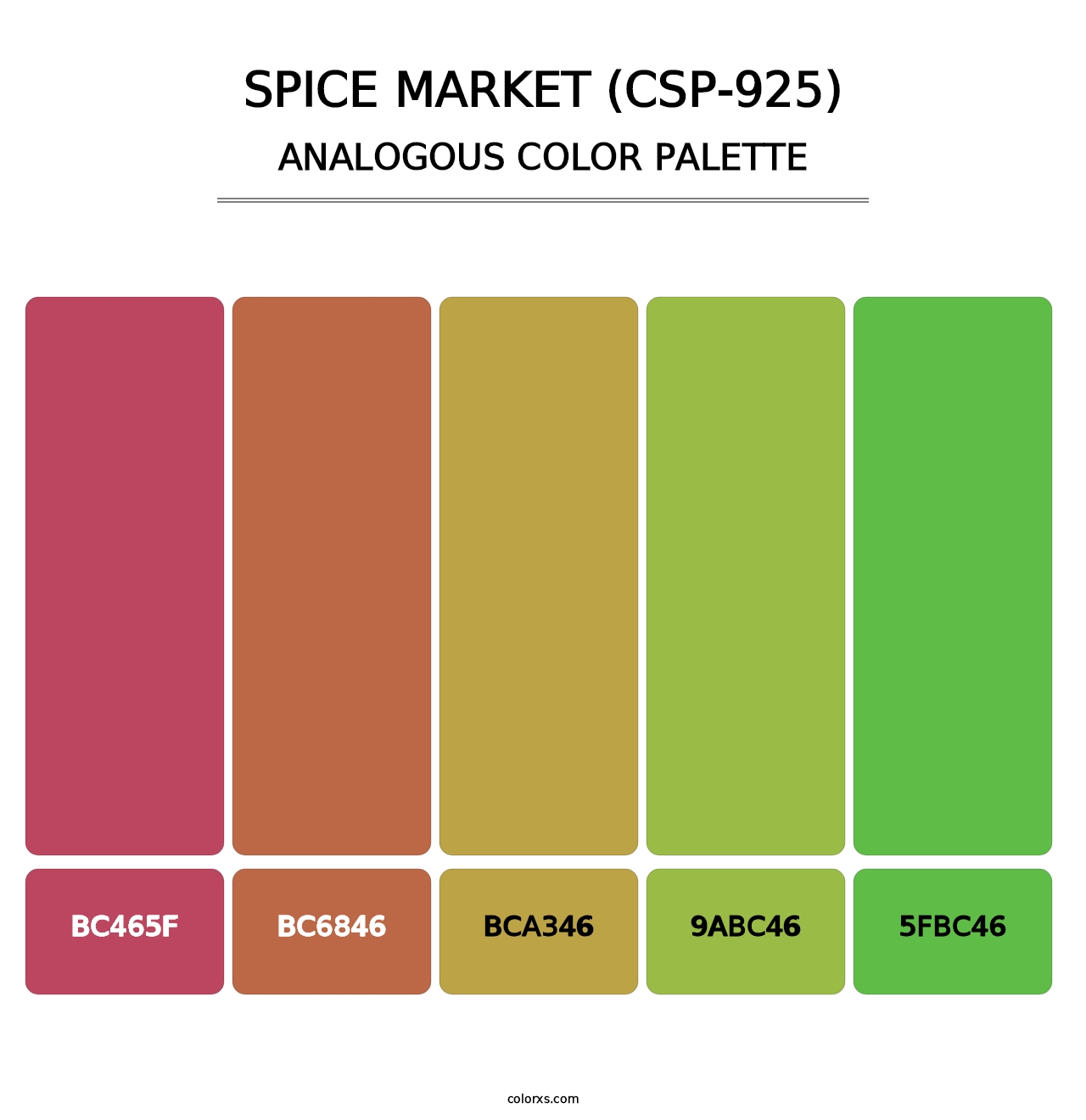 Spice Market (CSP-925) - Analogous Color Palette