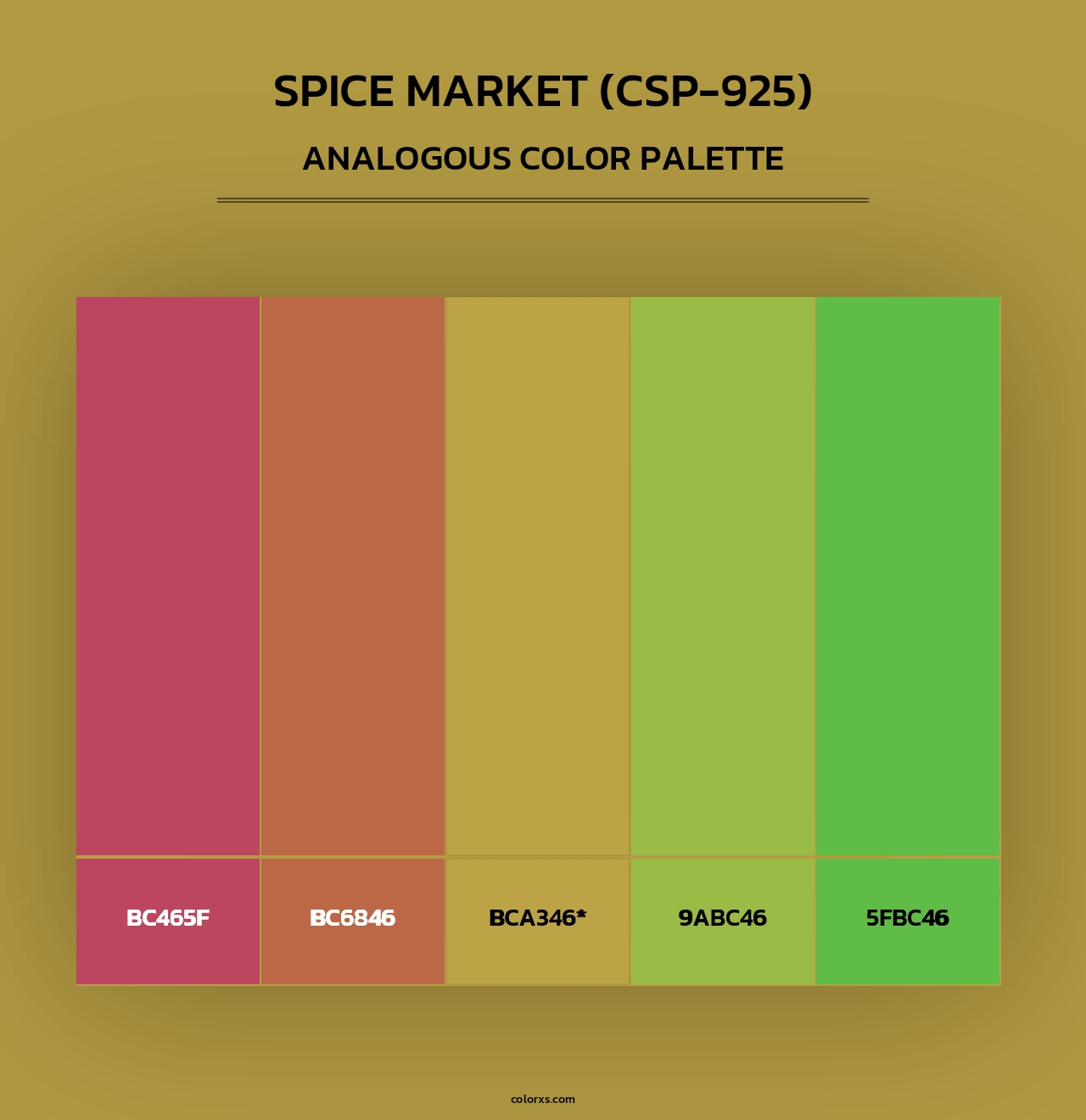 Spice Market (CSP-925) - Analogous Color Palette