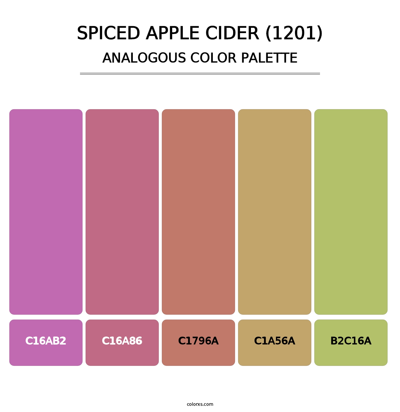 Spiced Apple Cider (1201) - Analogous Color Palette