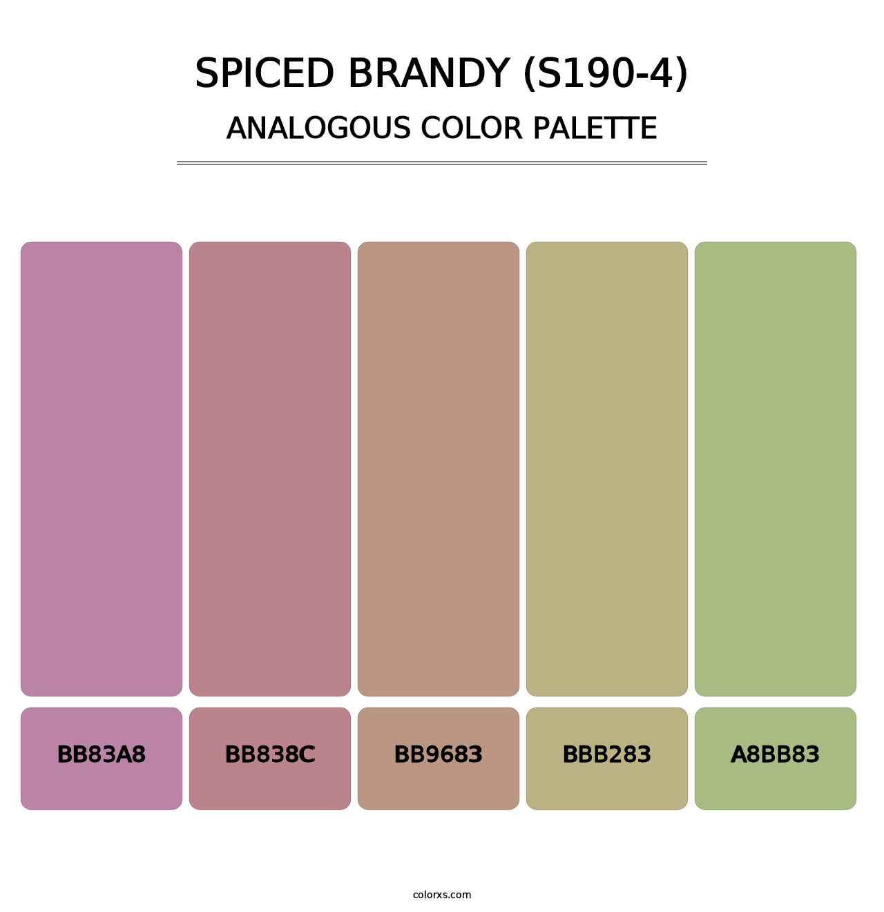 Spiced Brandy (S190-4) - Analogous Color Palette