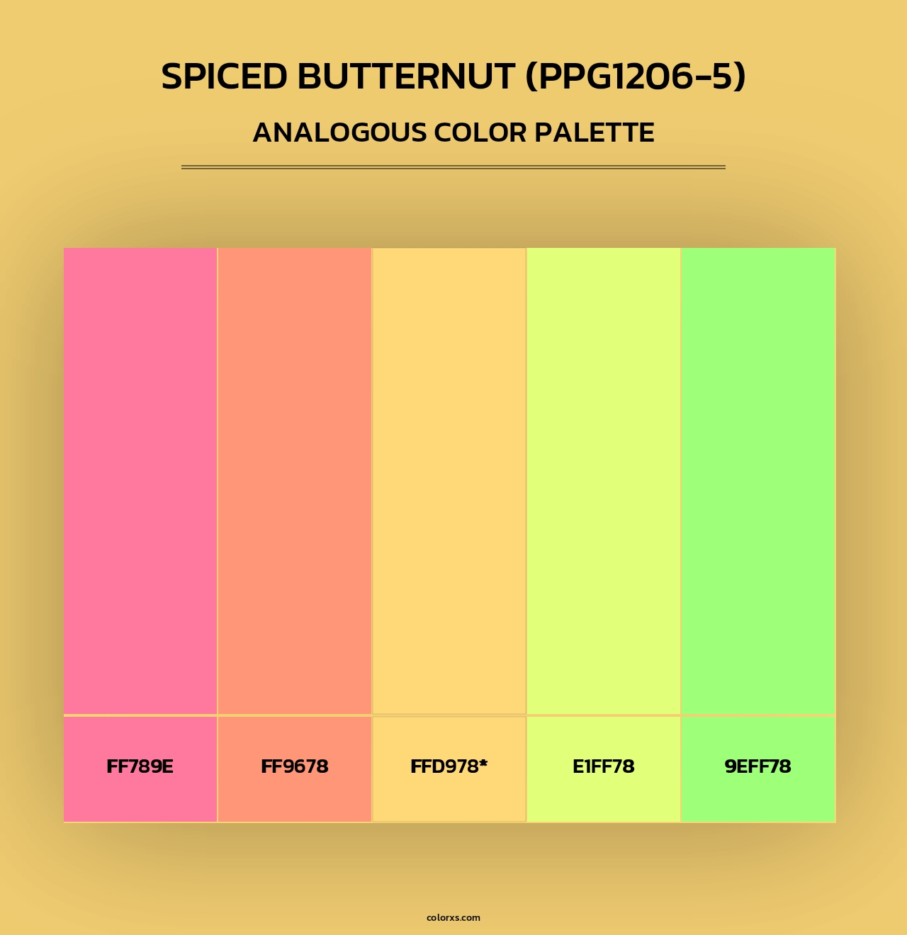 Spiced Butternut (PPG1206-5) - Analogous Color Palette