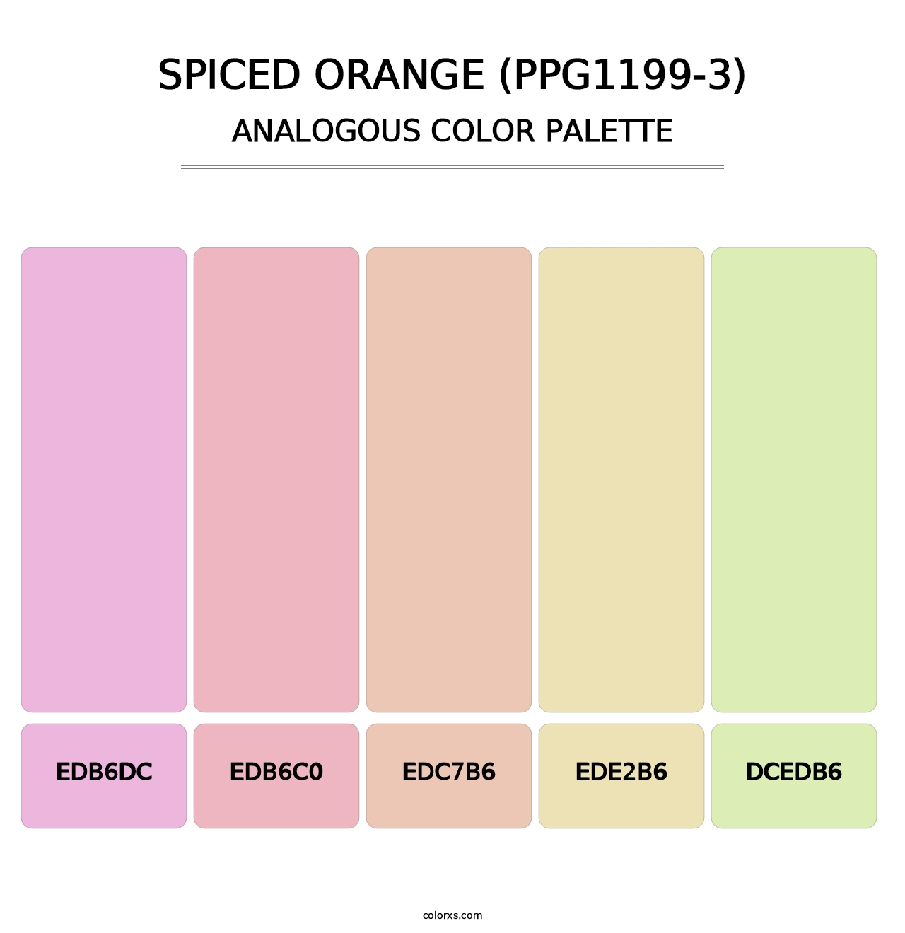 Spiced Orange (PPG1199-3) - Analogous Color Palette