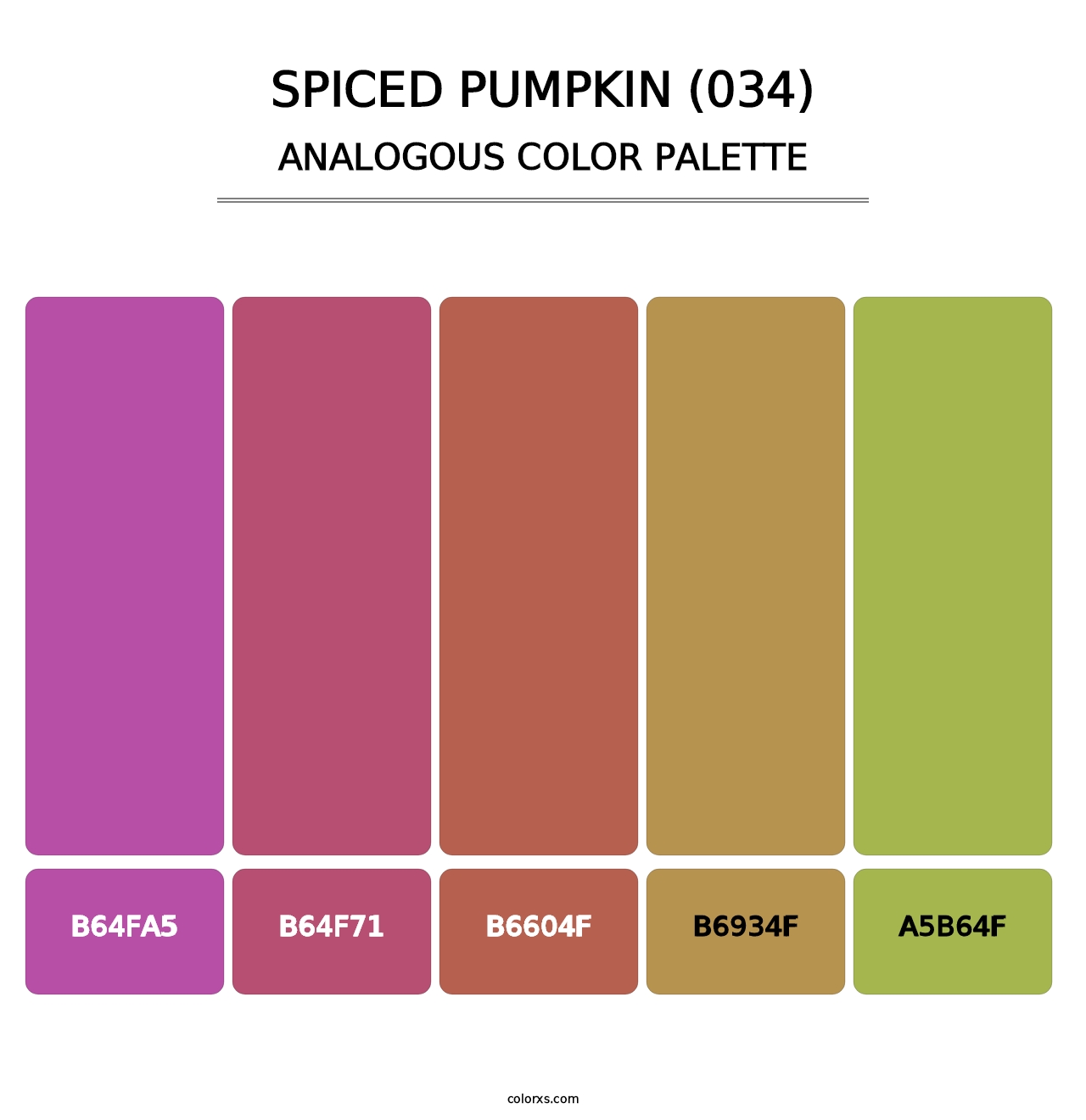 Spiced Pumpkin (034) - Analogous Color Palette