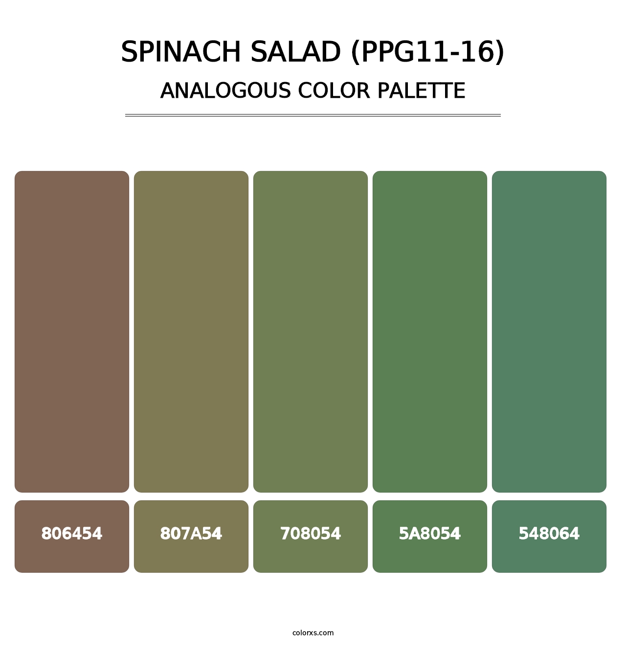 Spinach Salad (PPG11-16) - Analogous Color Palette
