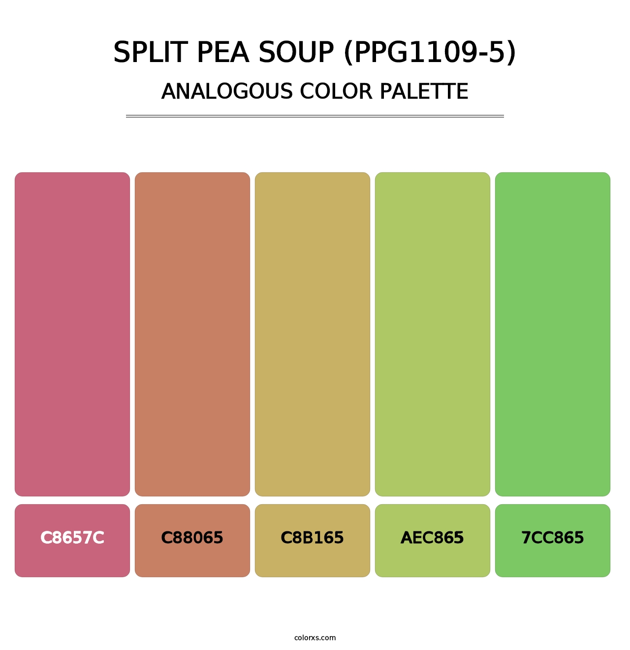 Split Pea Soup (PPG1109-5) - Analogous Color Palette