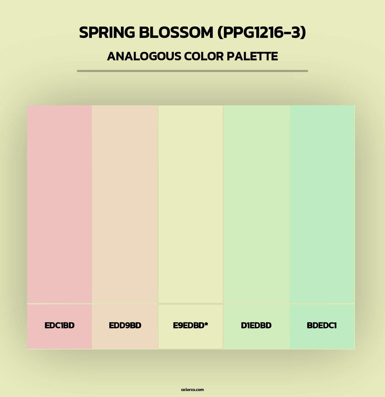 Spring Blossom (PPG1216-3) - Analogous Color Palette