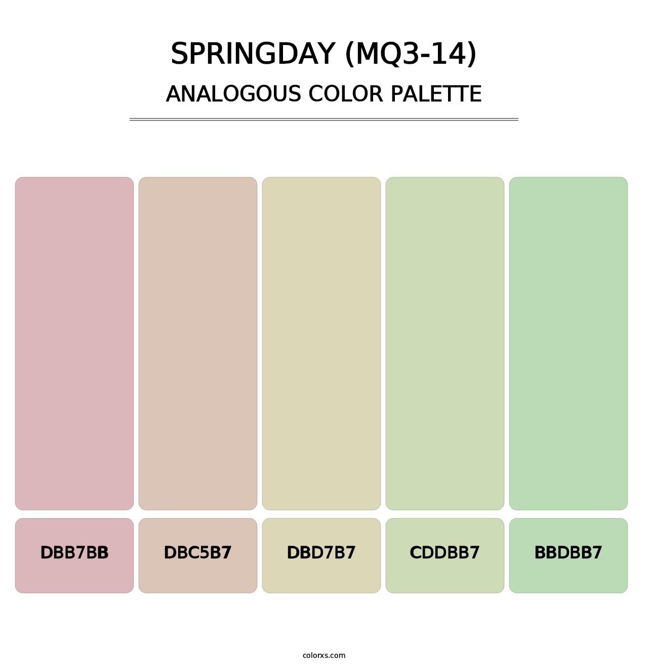 Springday (MQ3-14) - Analogous Color Palette