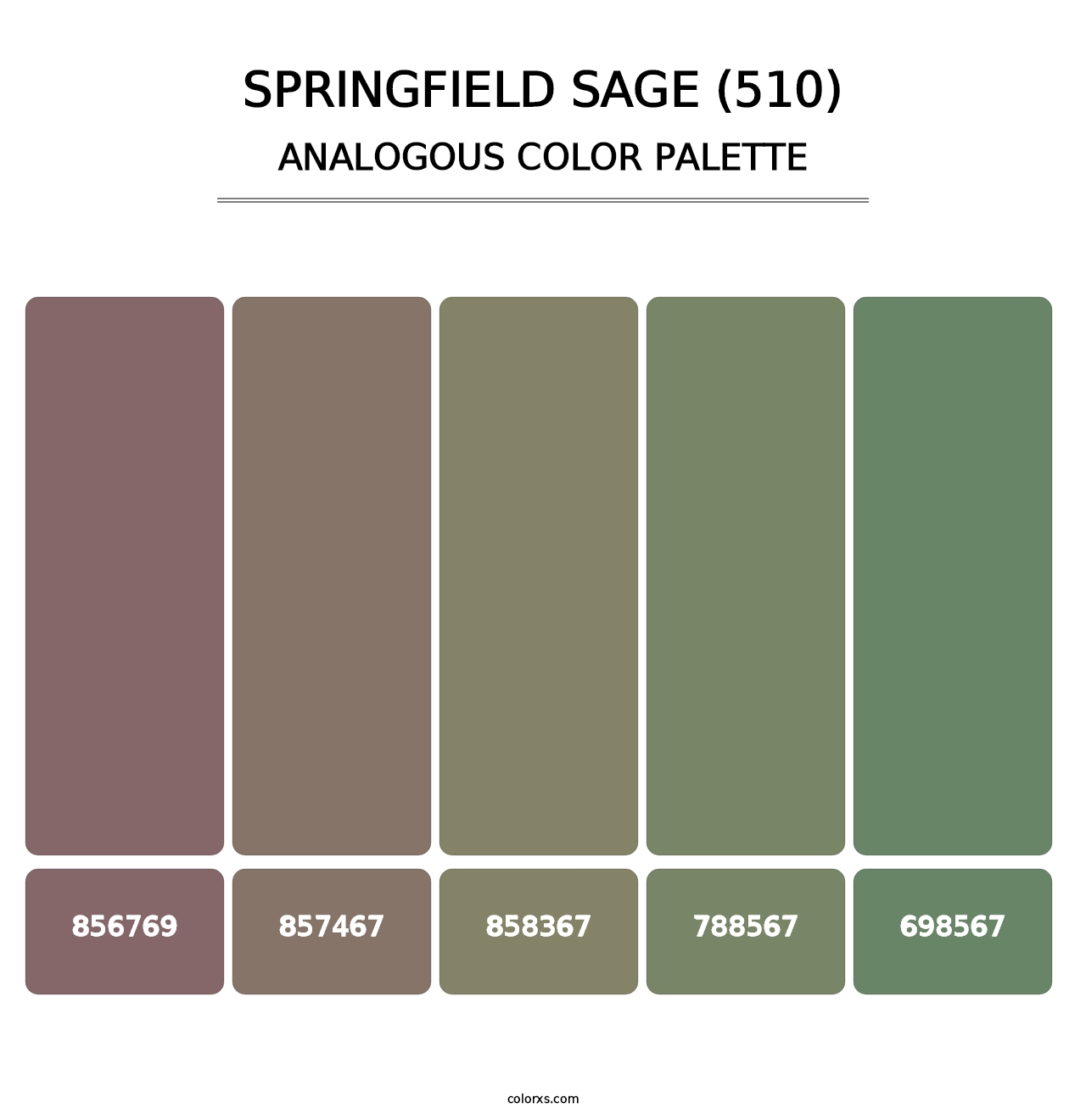 Springfield Sage (510) - Analogous Color Palette