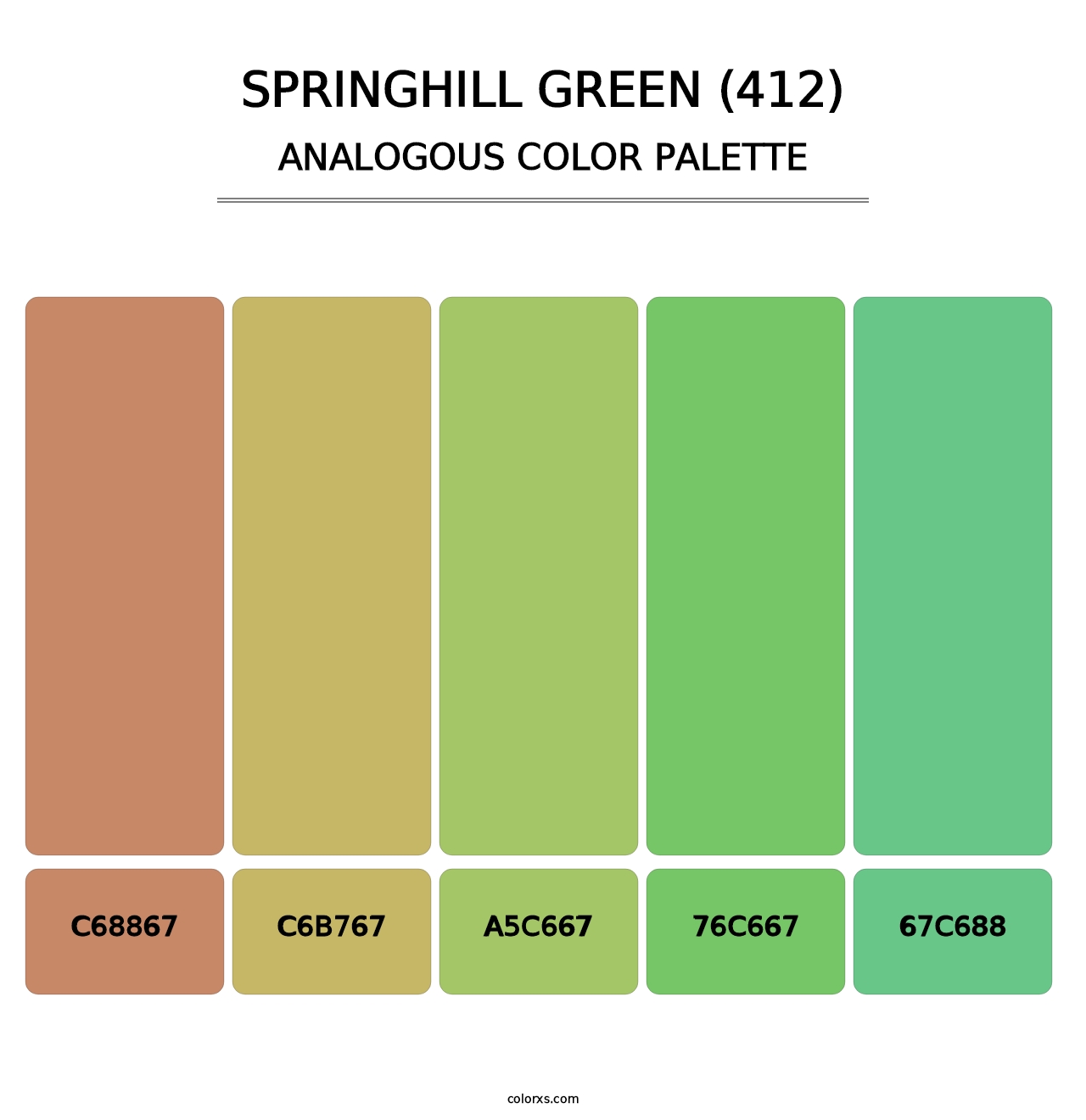 Springhill Green (412) - Analogous Color Palette