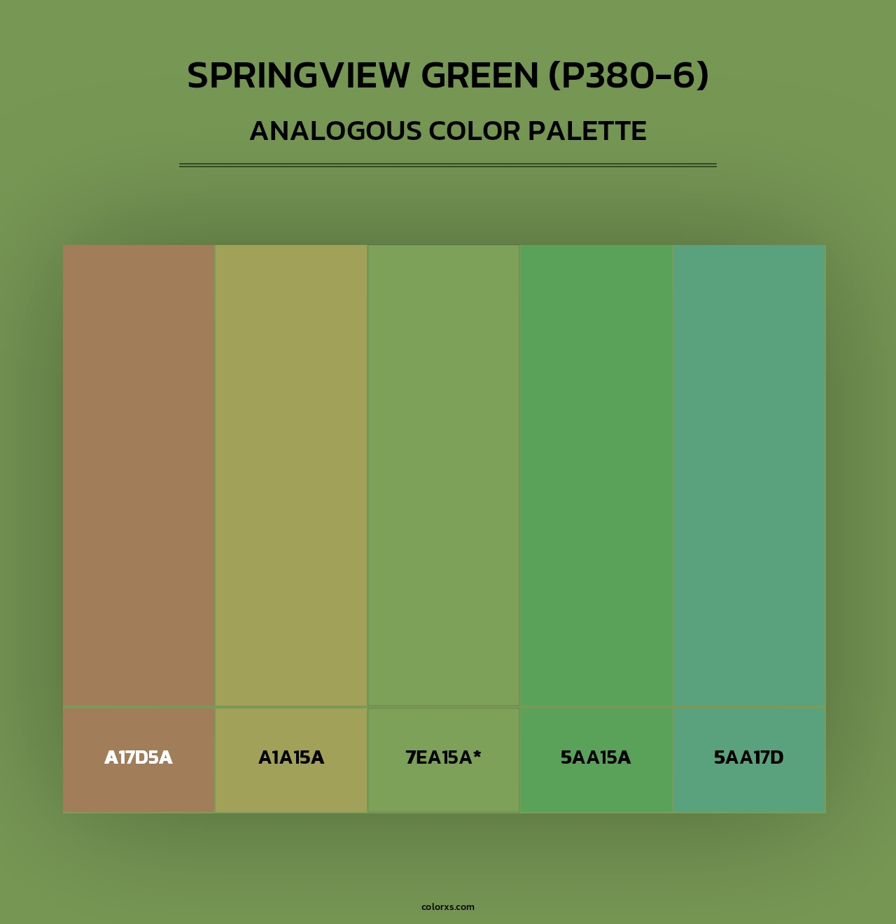 Springview Green (P380-6) - Analogous Color Palette