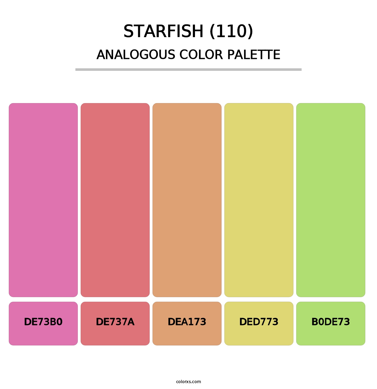 Starfish (110) - Analogous Color Palette
