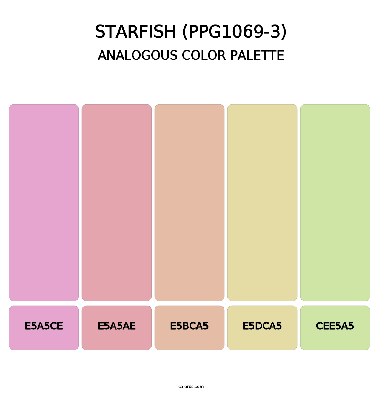 Starfish (PPG1069-3) - Analogous Color Palette