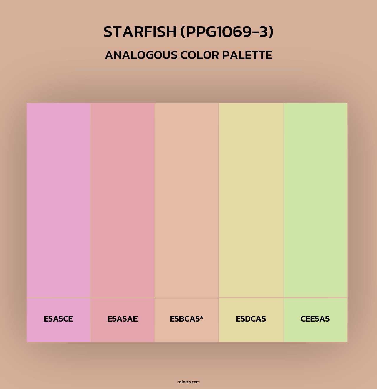 Starfish (PPG1069-3) - Analogous Color Palette