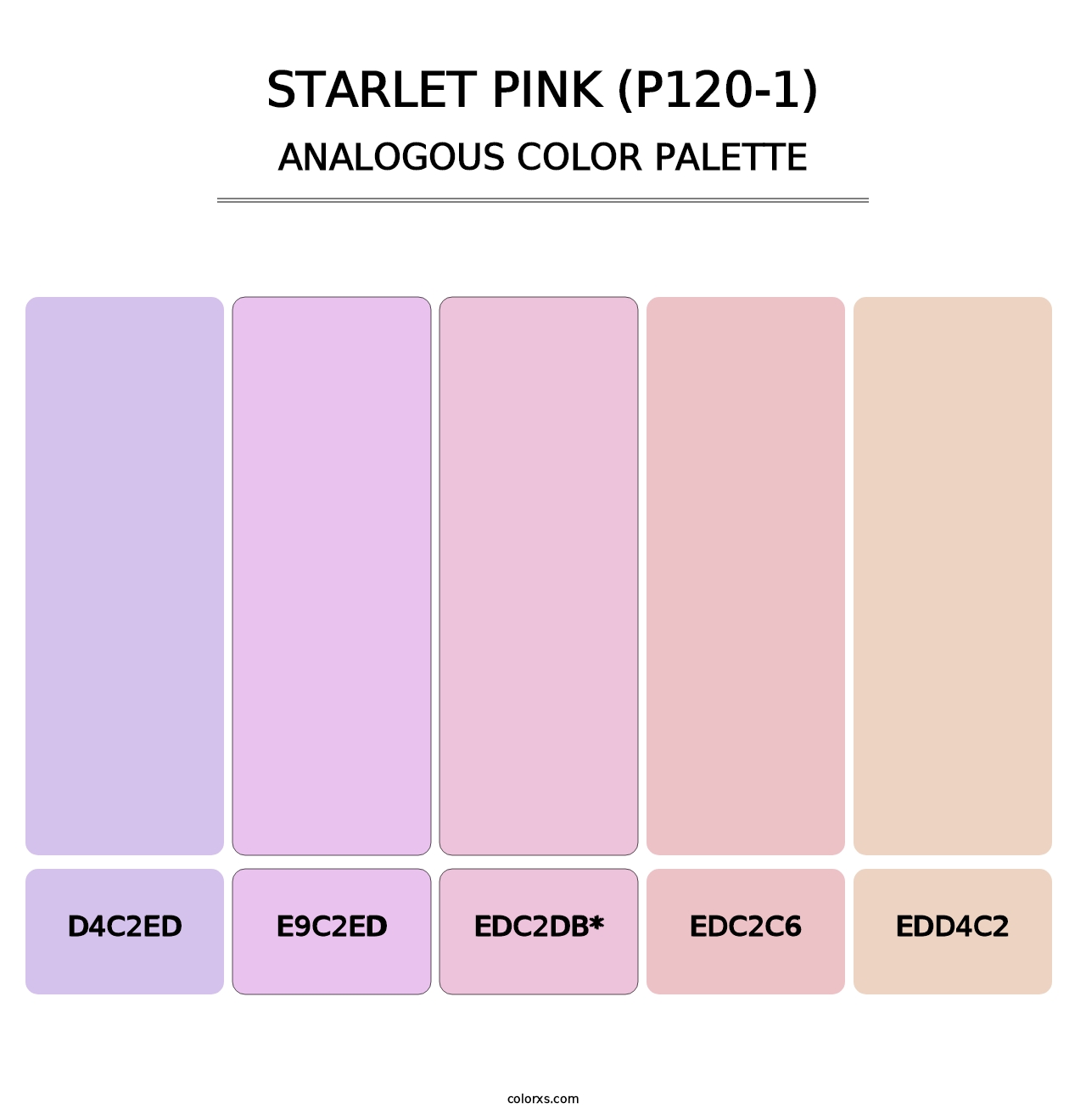 Starlet Pink (P120-1) - Analogous Color Palette