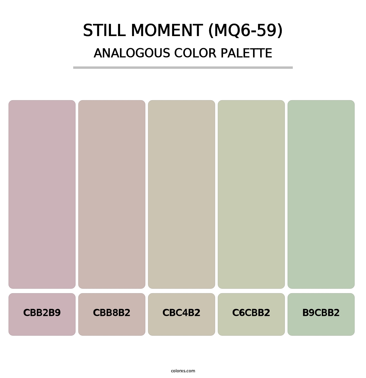 Still Moment (MQ6-59) - Analogous Color Palette