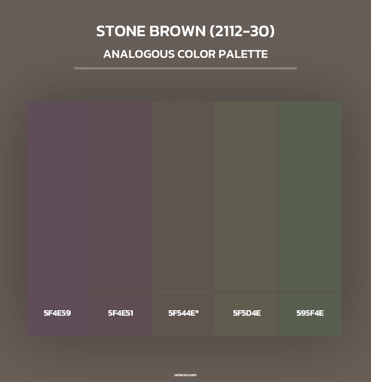 Stone Brown (2112-30) - Analogous Color Palette