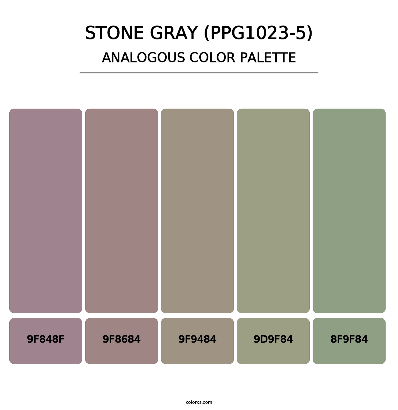 Stone Gray (PPG1023-5) - Analogous Color Palette